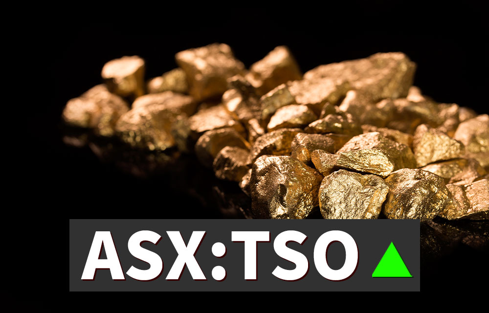 Tesoro Resources Share Price Up 31% on Gold Find (ASX:TSO)