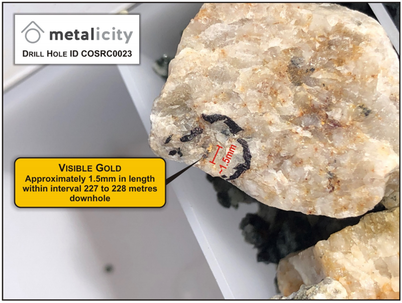 ASX Metalicity Visible Gold