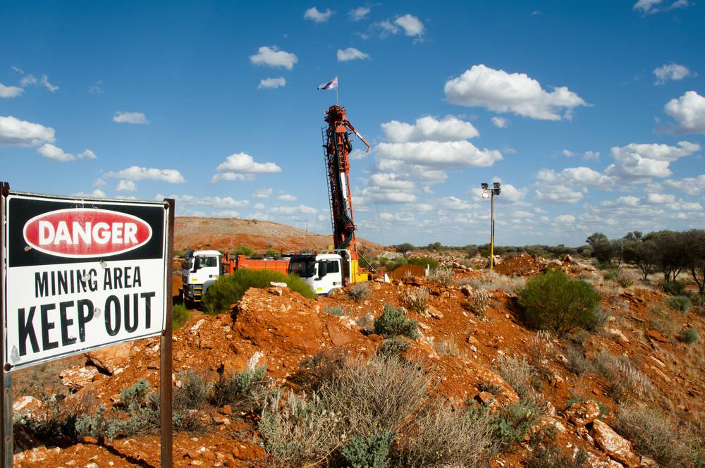 Why is the Reedy Lagoon Shares Up Today? (ASX:RLC)