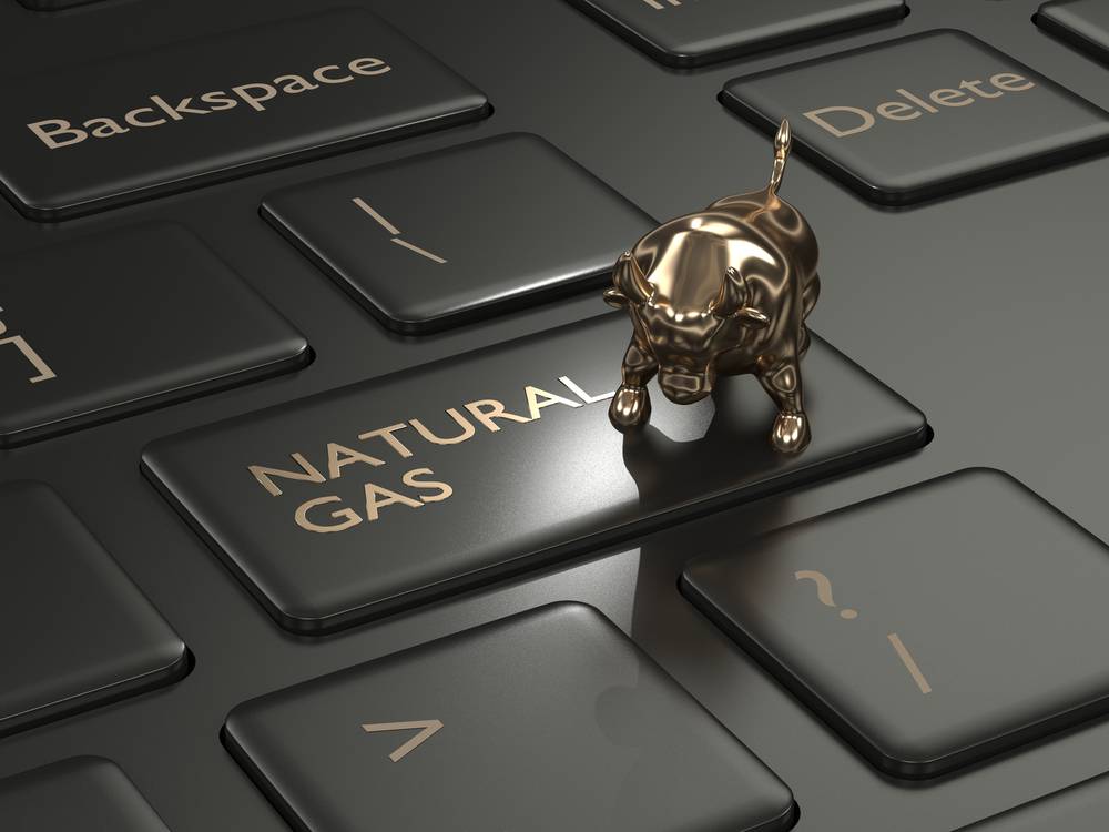 Gas Bull Market Stock Watch